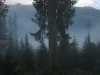 Manali 2010